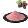 Mulberry Fruit Extract (pink)