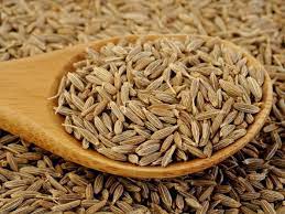 Brown cumin Seed
