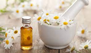 German Chamomile Essential Oil