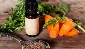 Carrotseed Essential Oil