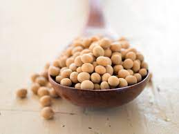 Soy Bean Protein