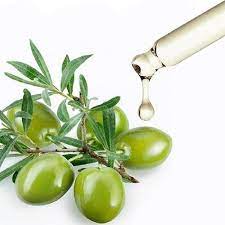 Olive Squalene Oil