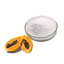 Papain Powder