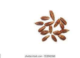 Date Seed